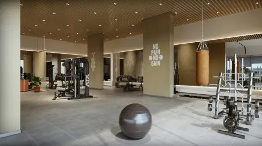 Gymnasium